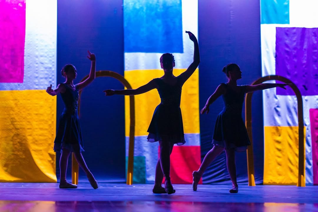 Centro de Dança Mariana Alves (CDMA)
