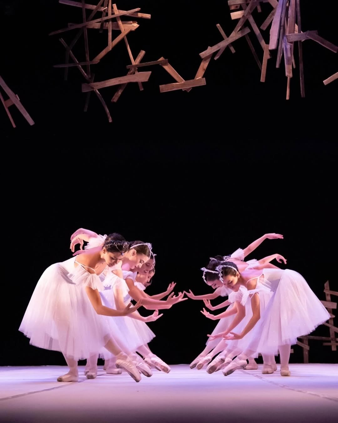 Centro de Dança Mariana Alves (CDMA)