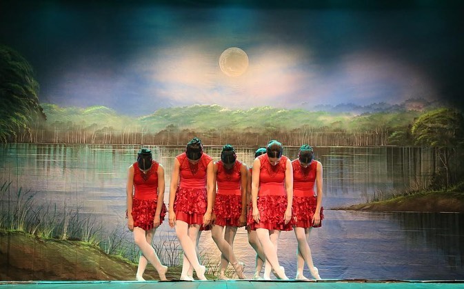 Centro de Dança Mariana Alves (CDMA)